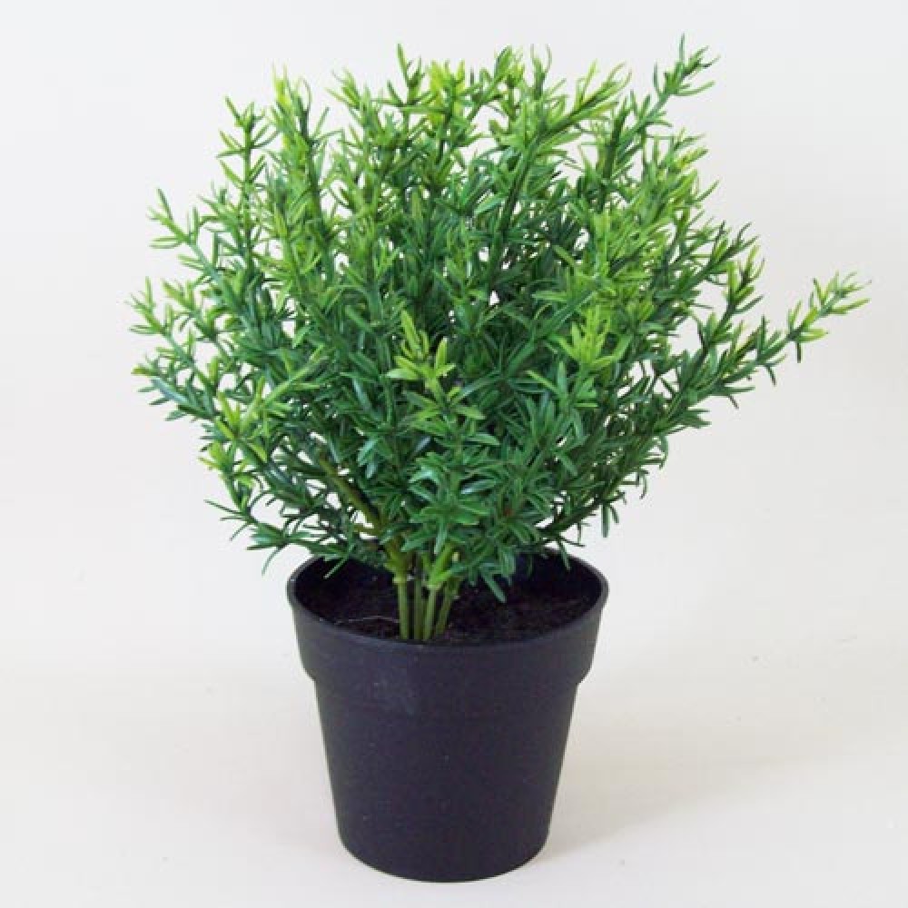 Artificial Plants Thyme In Pot Artificial Herbs   Artificial Thyme In Pot THY001 1000x1000 